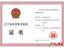 喜訊！公司喜獲2019年度省級(jí)科技進(jìn)步二等獎(jiǎng)